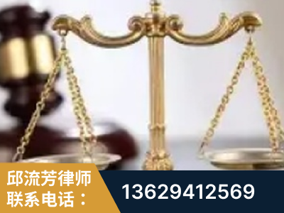 泰州-委托诉讼代理人出庭